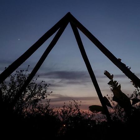 Clorofila House Glamping Naturista أوباتوبا المظهر الخارجي الصورة