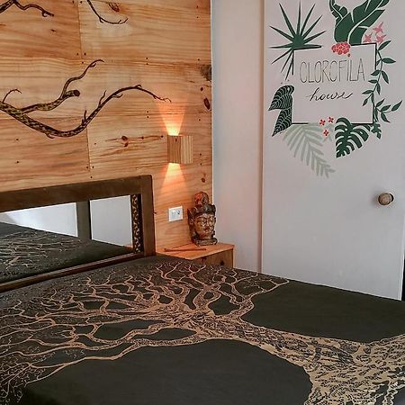 Clorofila House Glamping Naturista أوباتوبا المظهر الخارجي الصورة