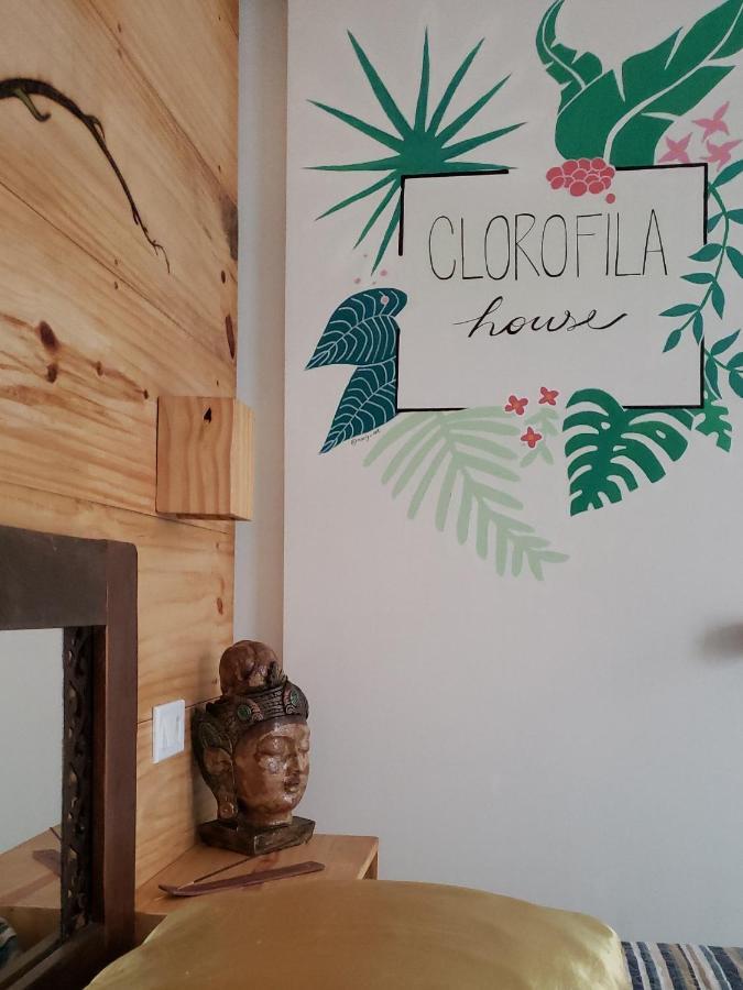 Clorofila House Glamping Naturista أوباتوبا المظهر الخارجي الصورة