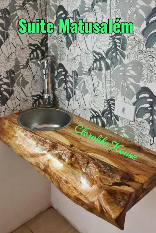 Clorofila House Glamping Naturista أوباتوبا المظهر الخارجي الصورة