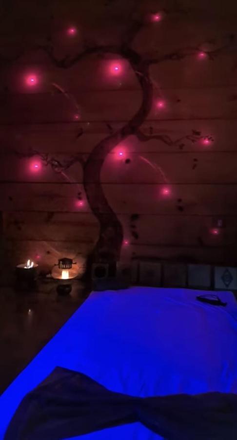 Clorofila House Glamping Naturista أوباتوبا المظهر الخارجي الصورة
